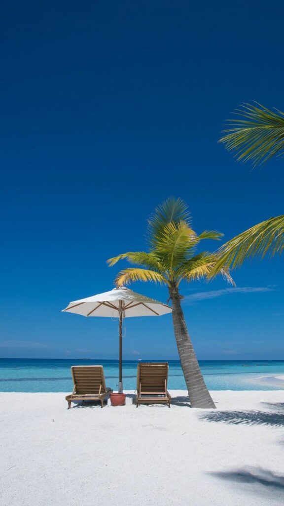 pexels photo 8479653 8479653 Idyllic beachfront scene with two chairs under an umbrella by a palm tree on white sand.